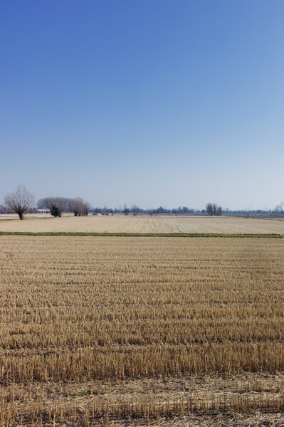 Fotografia dal progetto 'Orizzonti verticali' di Alessandro Pessina