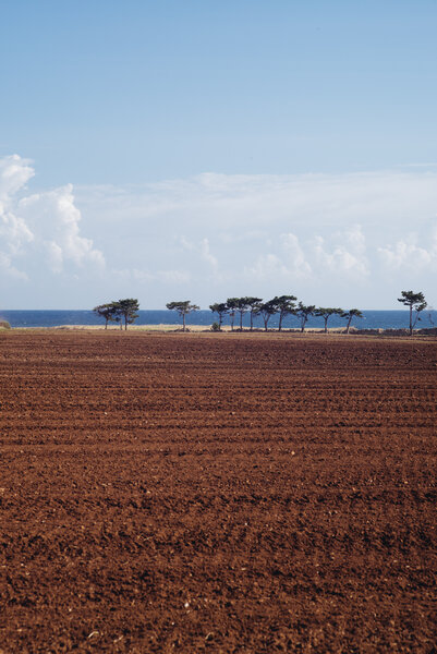 Fotografia dal progetto 'Orizzonti verticali' di Alessandro Pessina