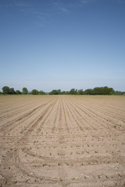 Fotografia dal progetto 'Orizzonti verticali' di Alessandro Pessina