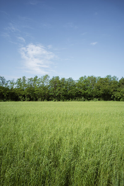 Fotografia dal progetto 'Orizzonti verticali' di Alessandro Pessina