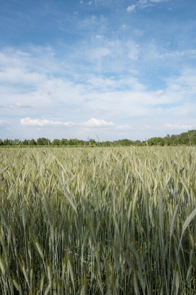 Fotografia dal progetto 'Orizzonti verticali' di Alessandro Pessina