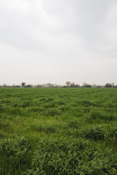 Fotografia dal progetto 'Orizzonti verticali' di Alessandro Pessina