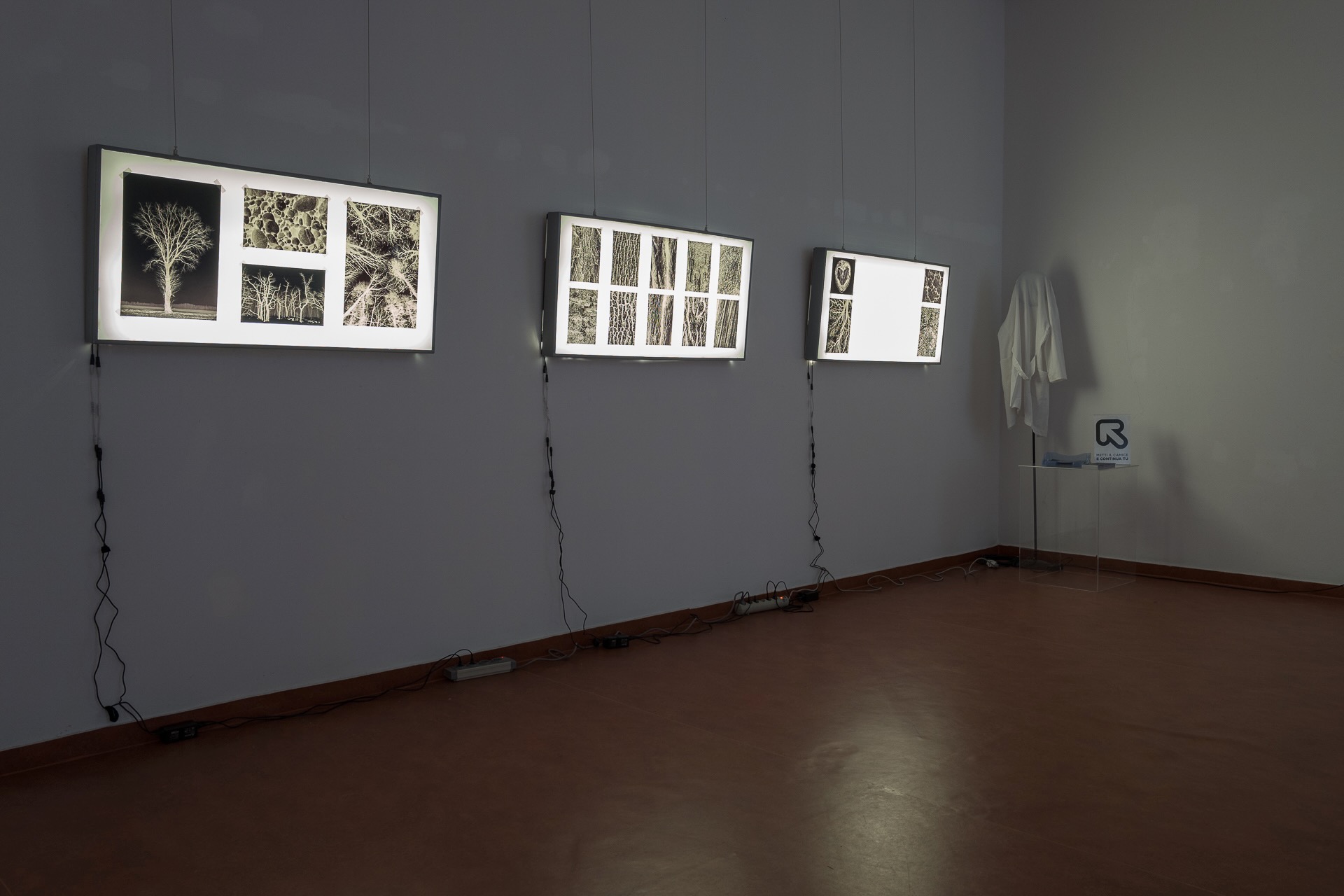 Fotografia dal progetto 'Radiophotographie' di Alessandro Pessina