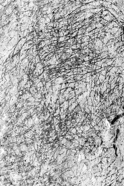 Fotografia dal progetto 'Radiophotographie' di Alessandro Pessina