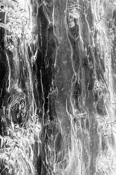 Fotografia dal progetto 'Radiophotographie' di Alessandro Pessina