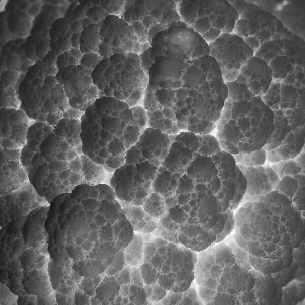 Fotografia dal progetto 'Radiophotographie' di Alessandro Pessina