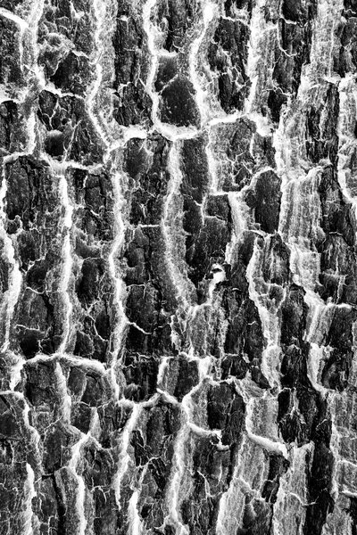 Fotografia dal progetto 'Radiophotographie' di Alessandro Pessina