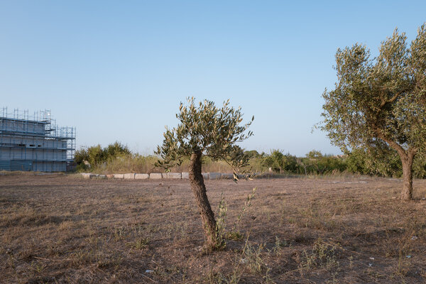 Fotografia dal progetto 'Unconventional Salento' di Alessandro Pessina