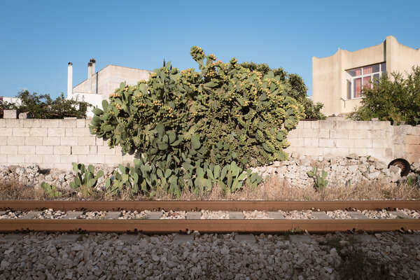 Progetto 'Unconventional Salento' di Alessandro Pessina