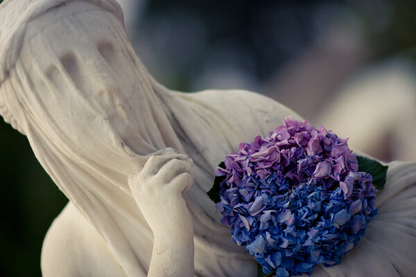 Fotografia dall'album 'Villa Litta - Palazzo Marino' di Alessandro Pessina