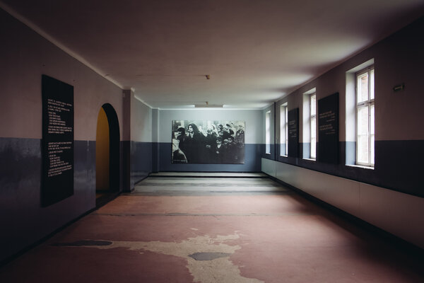 Progetto 'Vite segnate, voci sospese' di Alessandro Pessina